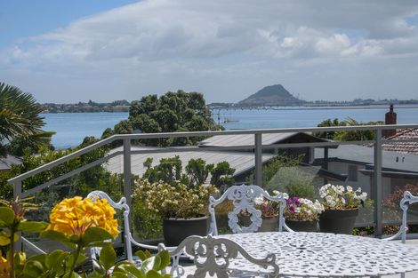 Photo of property in 240 Maungatapu Road, Maungatapu, Tauranga, 3112