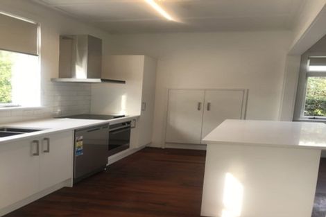 Photo of property in 28 Lloyd Avenue, Mount Albert, Auckland, 1025