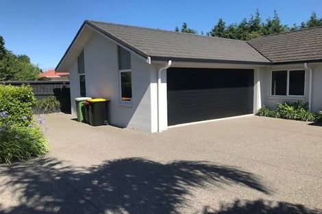 Photo of property in 206 Rowesdale Drive, Ohauiti, Tauranga, 3112