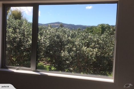 Photo of property in 233a Point Wells Road, Point Wells, 0986