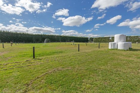 Photo of property in 1217 Hoskyns Road, Kirwee, Christchurch, 7671