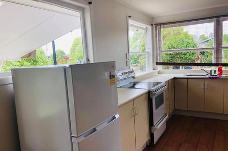 Photo of property in 30 Laurel Street, Mount Albert, Auckland, 1025