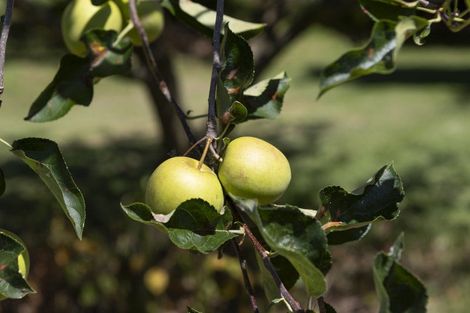 Photo of property in 810 Gill Road, Kaitaia, 0483