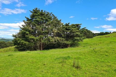 Photo of property in 338a Wairere Road, Paparoa, 0571