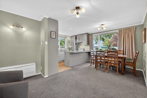 Photo of property in 208 Condell Avenue, Papanui, Christchurch, 8053