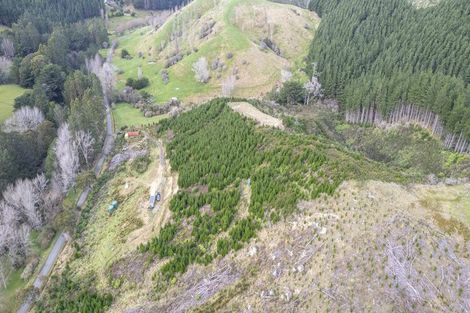 Photo of property in 133 South Road, Solway, Masterton, 5810