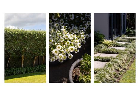 Photo of property in 19 Highcroft Place, Welcome Bay, Tauranga, 3112