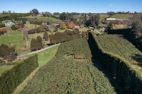 Photo of property in 394 Old Highway, Whakamarama, 3180