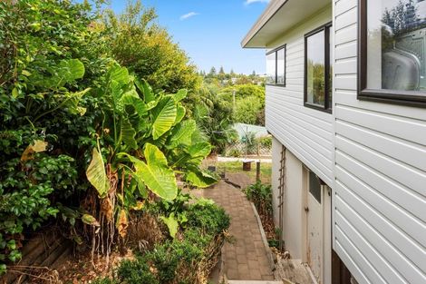 Photo of property in 51b Twentysecond Avenue, Gate Pa, Tauranga, 3112