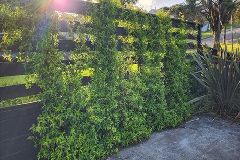 Photo of property in 22 Everard Avenue, Army Bay, Whangaparaoa, 0930