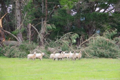 Photo of property in 1687 Broadlands Road, Broadlands, Reporoa, 3081