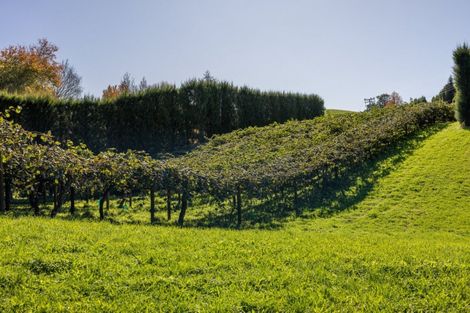 Photo of property in 394 Old Highway, Whakamarama, 3180