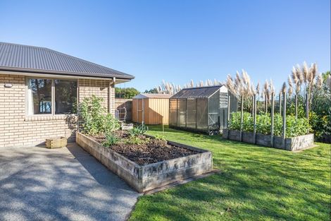 Photo of property in 29 Barry Curtis Place, Levin, 5510