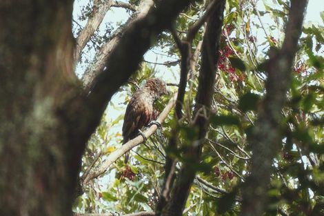 Photo of property in 629e Tara Road, Mangawhai, Kaiwaka, 0573