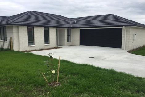 Photo of property in 2/10d Clive Road, Katikati, 3129