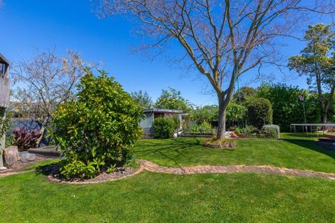 Photo of property in 4 Nosworthy Street, Blenheim, 7201