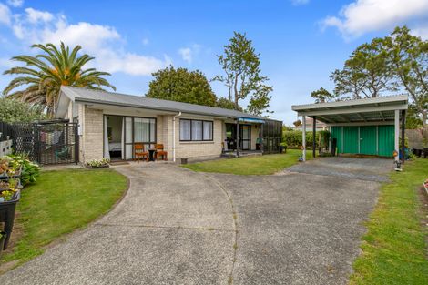 Photo of property in 135 Hakanoa Street, Huntly, 3700
