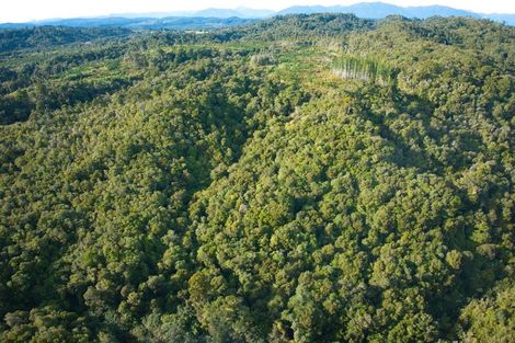 Photo of property in 330 Rutherglen Road, Marsden, Greymouth, 7805