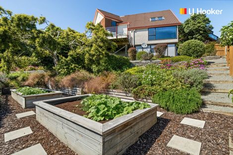 Photo of property in 9 Connell Street, Waverley, Dunedin, 9013