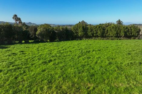 Photo of property in 404 Tara Road, Mangawhai, Kaiwaka, 0573