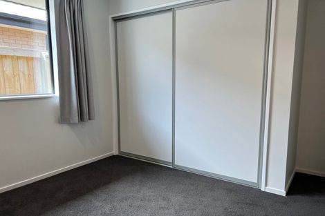 Photo of property in 29 Mills Road, Marshland, Christchurch, 8051