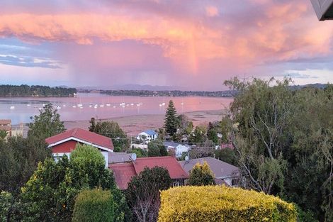 Photo of property in 53 Coppelia Avenue, Omokoroa, 3114