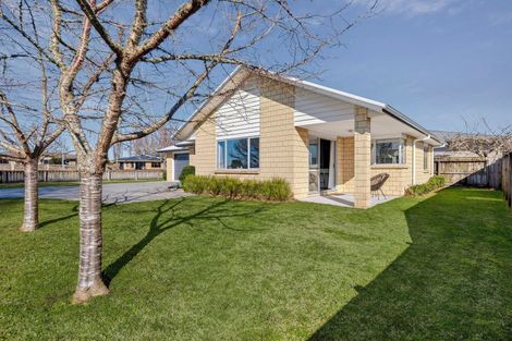 Photo of property in 10a Maclean Street, Cambridge, 3434