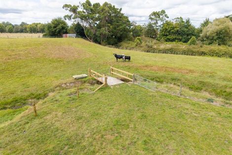 Photo of property in 61 Franklin Road, Woodville, 4999