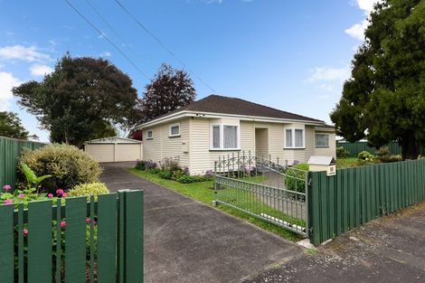 Photo of property in 53 Alfred Street, Fairfield, Hamilton, 3214