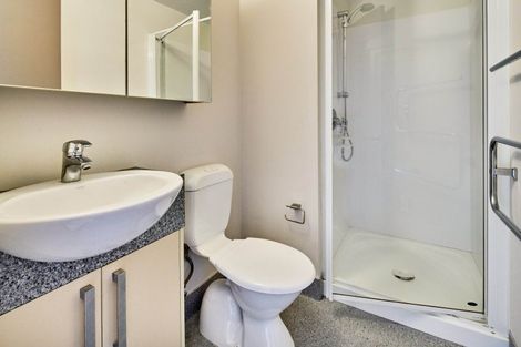 Photo of property in Dual Apartments, 510/142 Vivian Street, Te Aro, Wellington, 6011