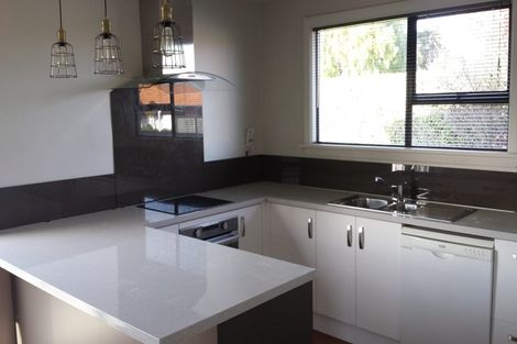 Photo of property in 16 Olivine Street, Shirley, Christchurch, 8013