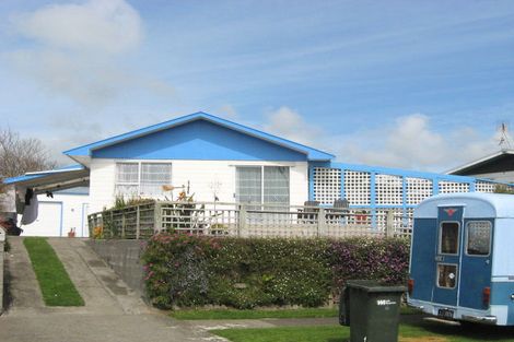 Photo of property in 42 Gold Street, Waitara, 4320