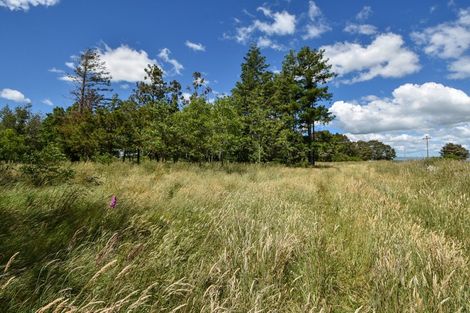 Photo of property in 783 Chester Road, West Taratahi, Carterton, 5791