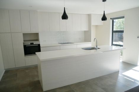 Photo of property in 53a Grafton Street, Waltham, Christchurch, 8011