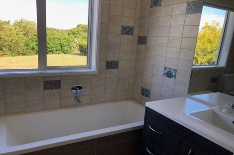 Photo of property in 255 Austin Road, Dairy Flat, Albany, 0794