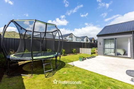 Photo of property in 13 Castletown Street, Wallaceville, Upper Hutt, 5018