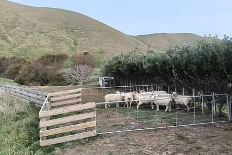Photo of property in 422 Whangaehu Road, Porangahau, 4293