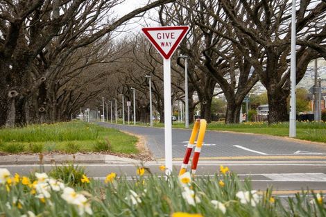 Photo of property in 4b Thomas Street, Waikouaiti, 9510