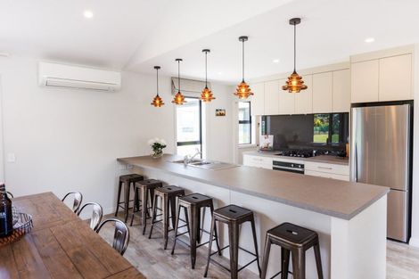 Photo of property in 248g Watershed Road, Bunnythorpe, Palmerston North, 4470