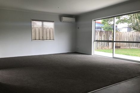 Photo of property in 183c Massey Street, Frankton, Hamilton, 3204