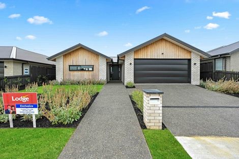 Photo of property in 16 Harp Street, Morrinsville, 3300