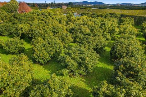 Photo of property in 204a No 2 Road, Te Puke, 3182