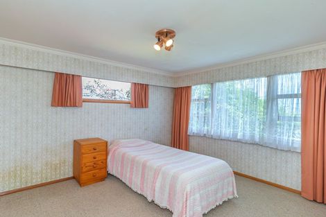 Photo of property in 2 Green Avenue, Levin, 5510