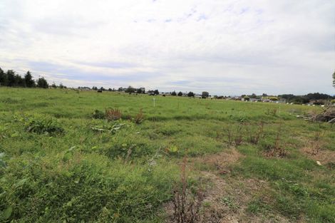 Photo of property in 12 Mcconnell Street, Mataura, 9712