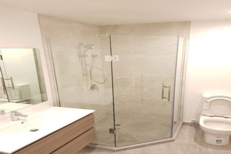 Photo of property in 13 Ti Kouka Lane, Sandringham, Auckland, 1025