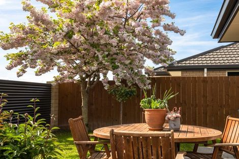 Photo of property in 37 Maeburn Street, Witherlea, Blenheim, 7201