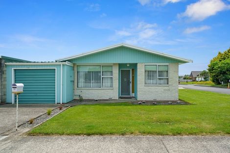 Photo of property in 55 Liverpool Street, Levin, 5510