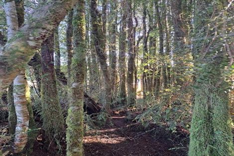 Photo of property in 769b Rutherglen Road, Marsden, Greymouth, 7872