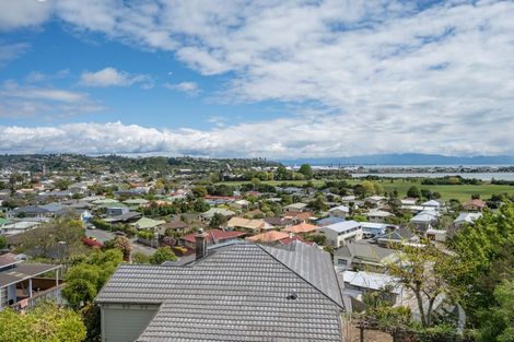 Photo of property in 22 Iwa Road, The Wood, Nelson, 7010