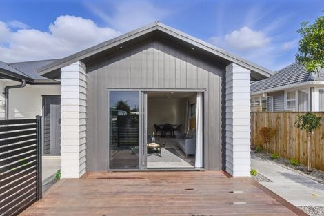 Photo of property in 42a Power Street, Levin, 5510